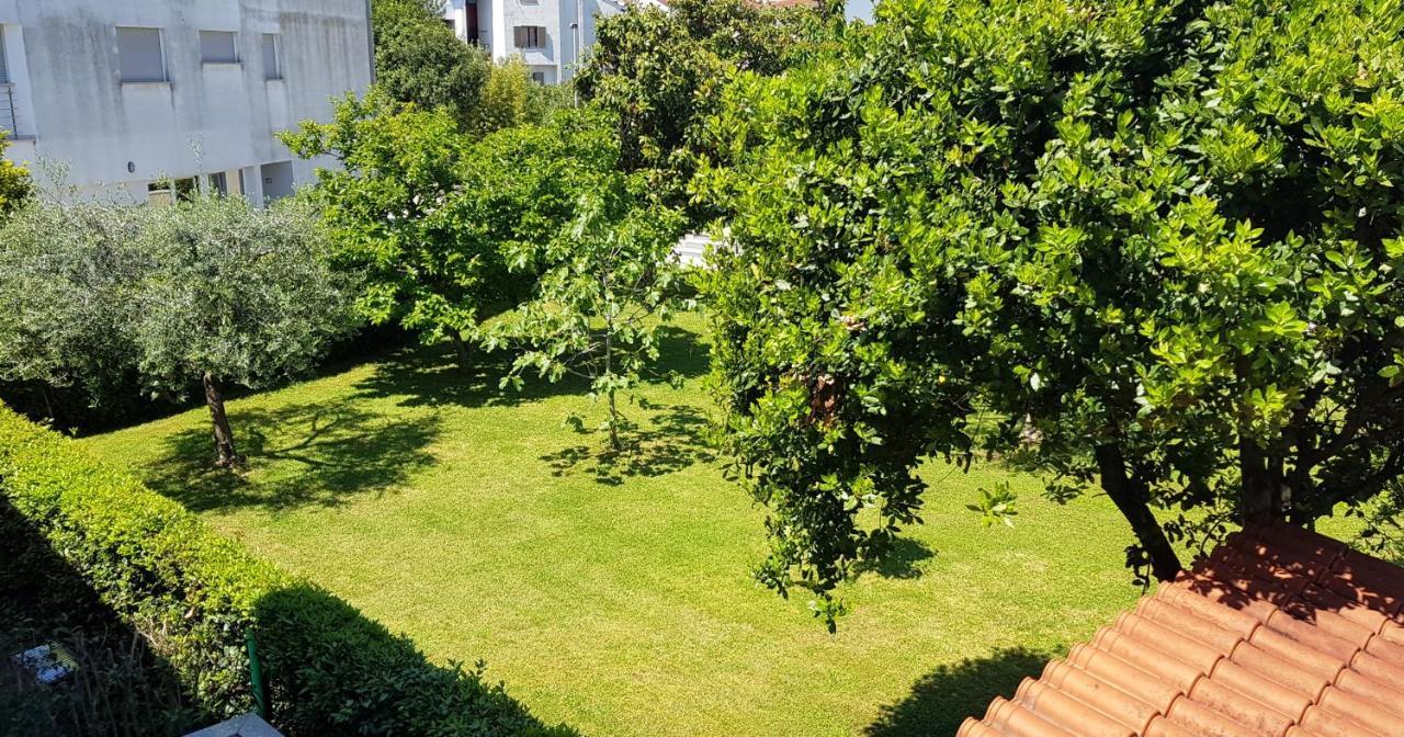 Paradise Beach Apartments 罗维尼 外观 照片